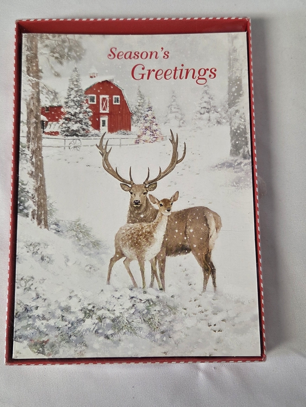 Season's Greetings Deer Holiday Card - Red Accents